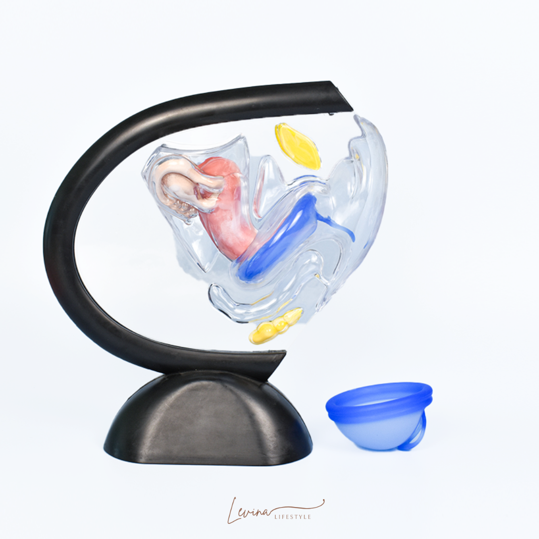 Luxe herbruikbare Menstruatie Disc met Hoesje - Licht roze