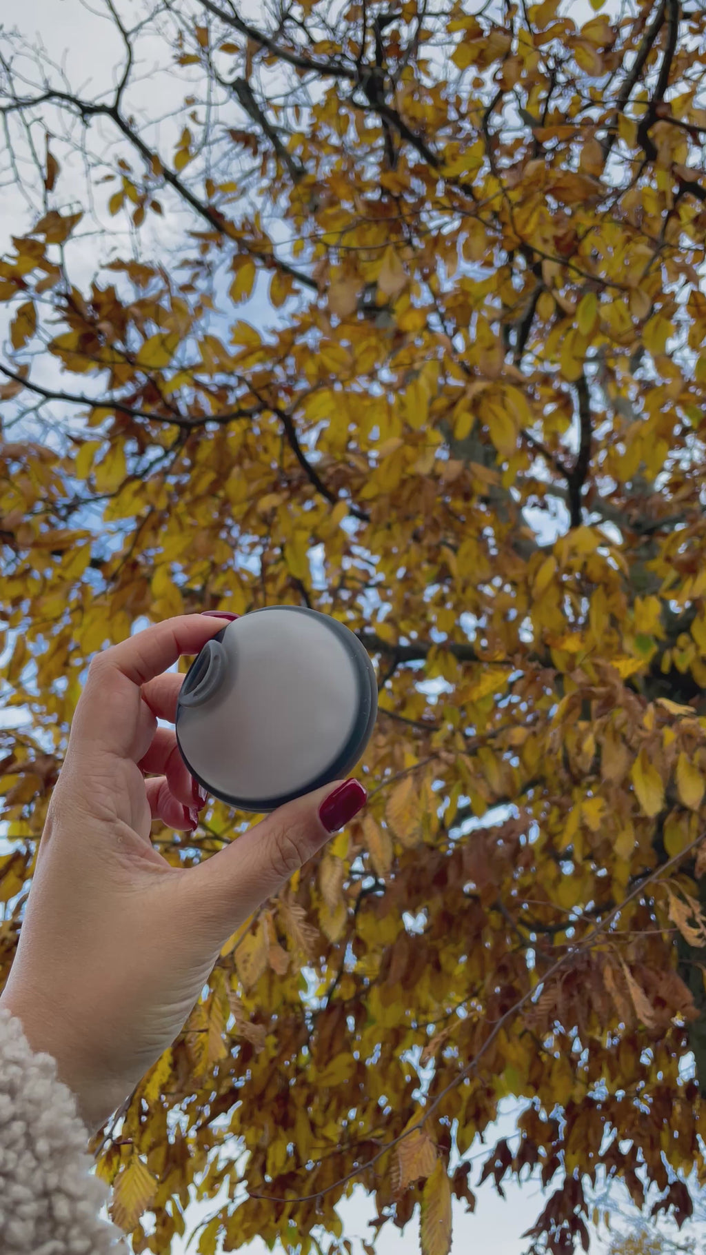 Luxe herbruikbare Menstruatie Disc met Hoesje - Zwart